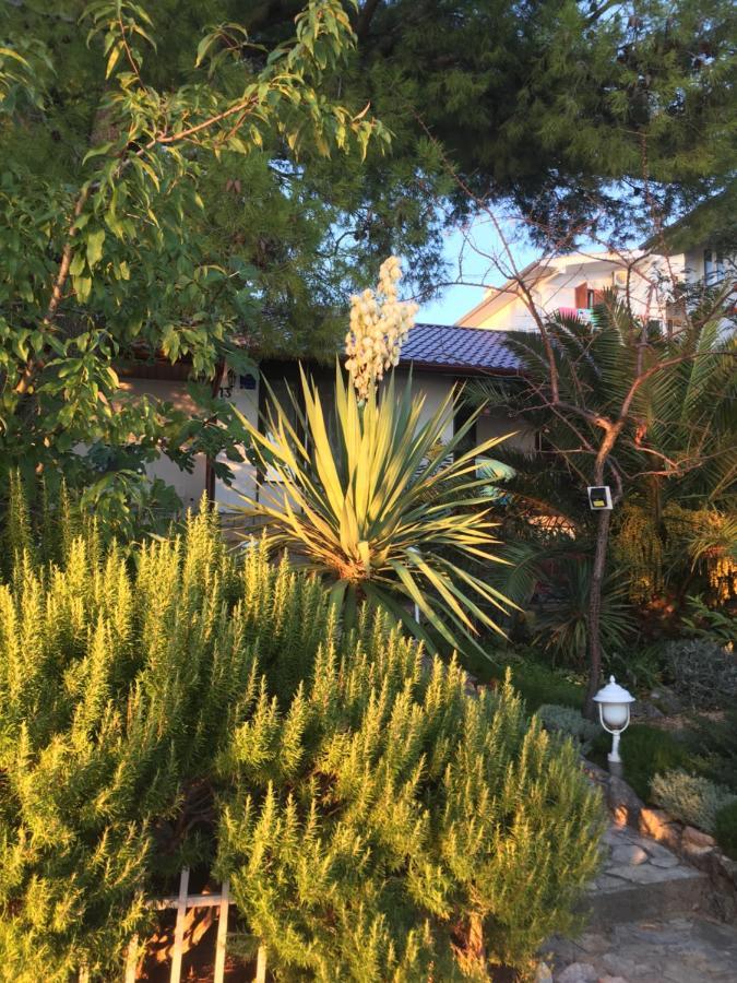 Beach House Starigrad Exterior photo